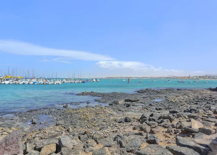 Alba & Daniel's Con Vista Su Lobos, Коральео