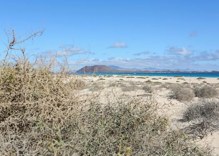 Alba & Daniel's Con Vista Su Lobos, Апартаменты *